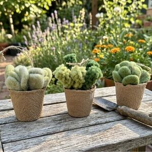 Set of 3 Hand-Felted Wool Succulent Ornaments – Cactus Decor